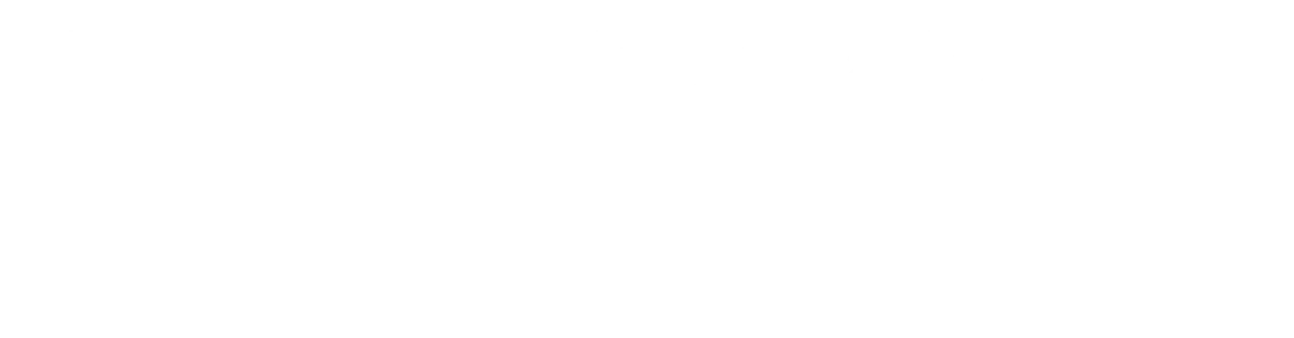 Financiado por la unión europea